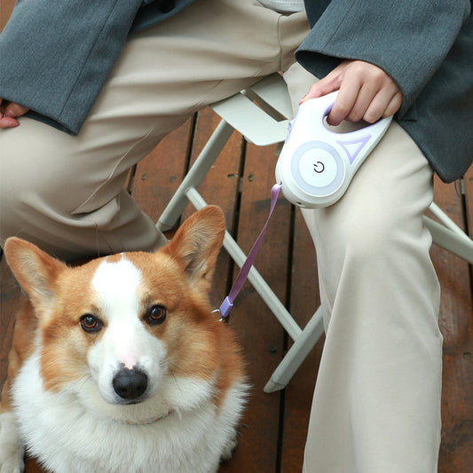 Leash And Dog Collar Spotlight Automatic Pet Dog Cat Traction Rope